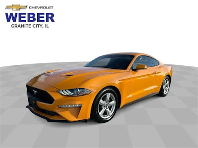 2019 Ford Mustang