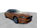 2019 Ford Mustang EcoBoost *ONE OWNER*