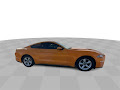 2019 Ford Mustang EcoBoost *ONE OWNER*