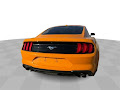 2019 Ford Mustang EcoBoost *ONE OWNER*