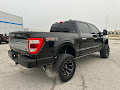 2021 Ford F-150 4WD Platinum SuperCrew