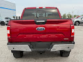 2019 Ford F-150 4WD XLT SuperCrew